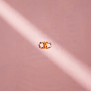 Coccolì Clip "D" - Pinza Magnetica